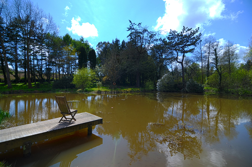 Carp Fishing Lake Colmer Estate